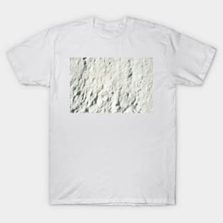 walking on the Moon T-Shirt